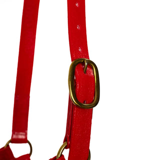 Syd Hill PVC Halter