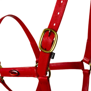 Syd Hill PVC Halter - Red