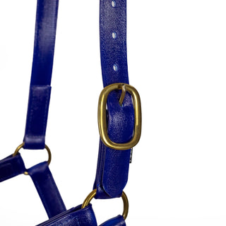 Syd Hill PVC Halter