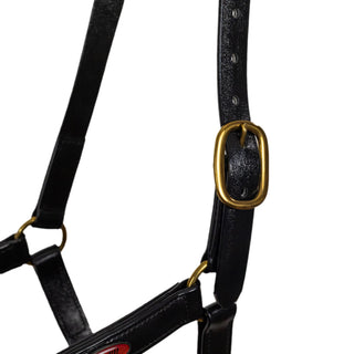 Syd Hill PVC Halter