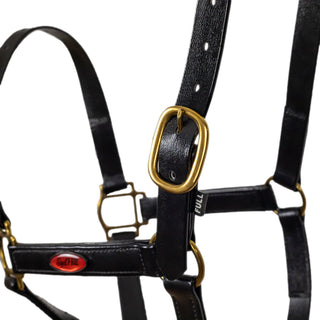 Syd Hill PVC Halter