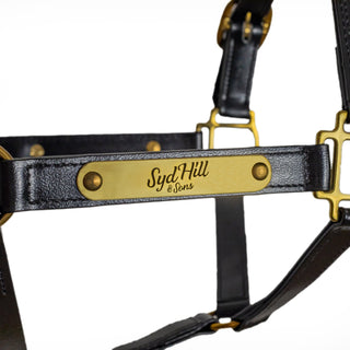 Syd Hill PVC Halter with Nameplate