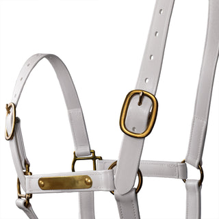 Syd Hill PVC Halter with Nameplate