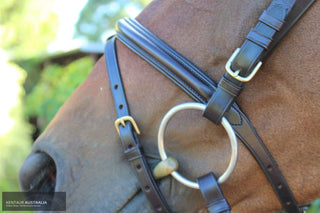 Kentaur 'Hamilton' Comfort Poll Bridle